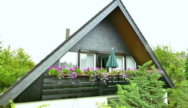 A large and comfortable apartment!