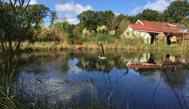 A little oasis in the middle of nature
