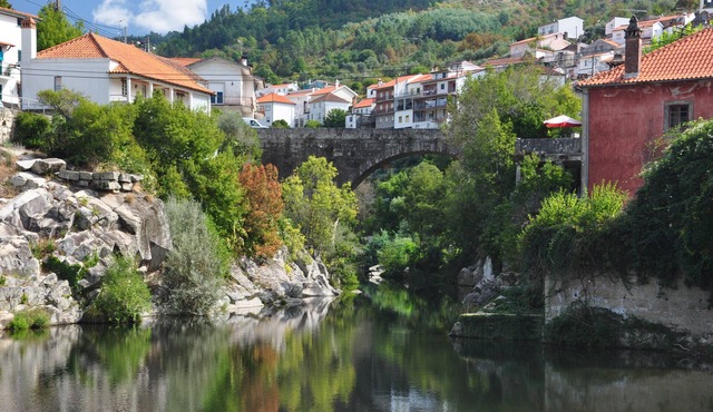 A look into the river