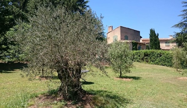 A Magnificent Provençal Villa with Fibre Optic Internet set in private gardens