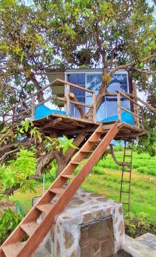 A Mango Tree House with a private swimming pool