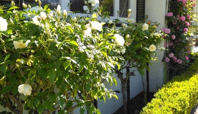 A modernised cottage full of charm and ambience