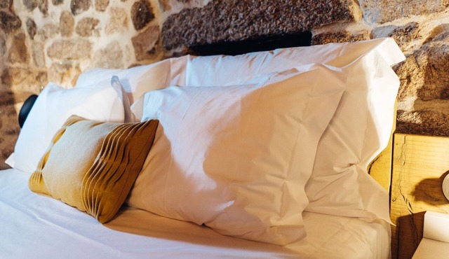 a one-bedroom accommodation unit with a floor area of 25 m