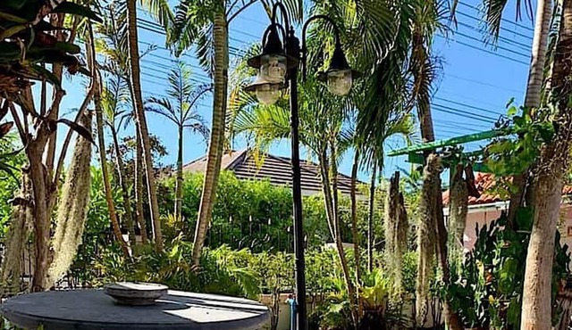 A paradise in Bangsaray