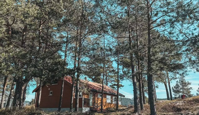A peaceful getaway with a fjord view! Sleeps 6 people. FrantasticView