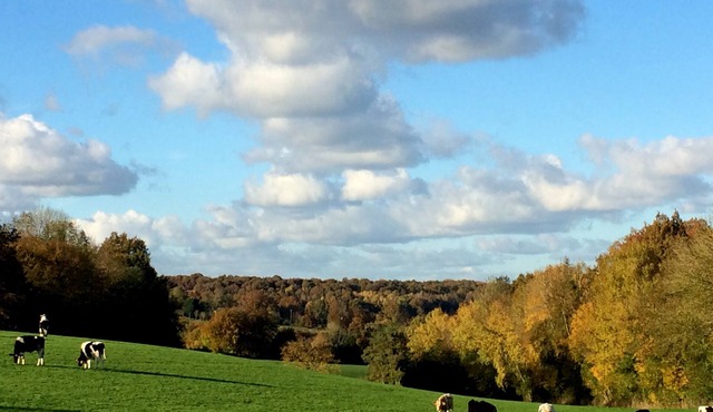 A romantic hideaway with a Nordic spa to get back to the heart of Calvados