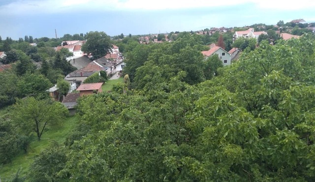 A room with a view!
