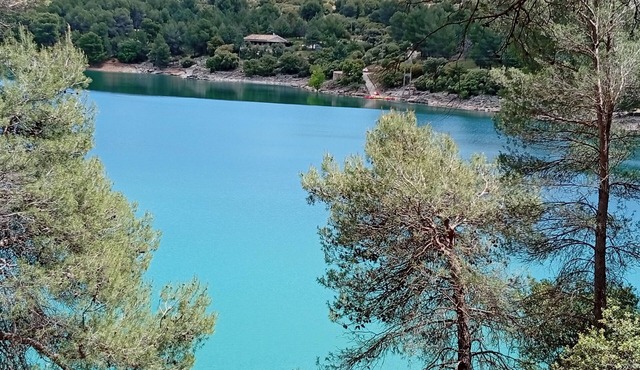 A sea of Olivares and its place to disconnect.