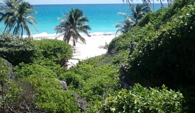 A Self Contained Villa 200 meters from Bottom Bay