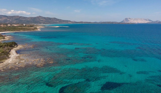 A simple vacation apartment in Sardinia with outdoor pool.