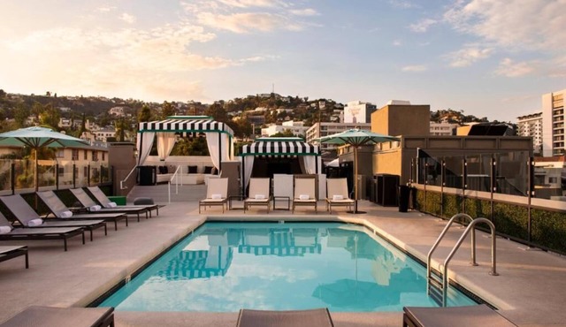 A Sophisticated Suite! Four Units with Furnished Living, Rooftop Pool, Balcony!