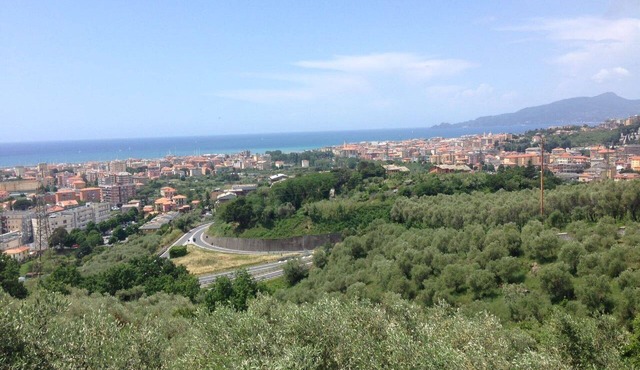 A stone's throw from the sea