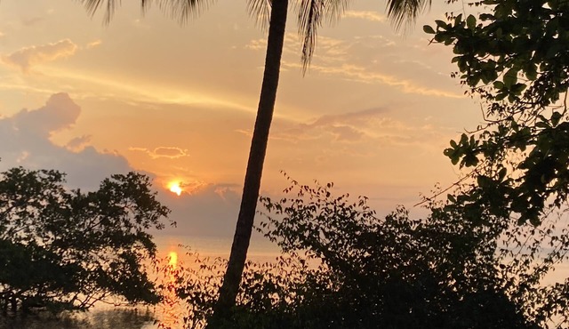 A studio cabin with AC and WiFi. in a Tropical Paradise setting.