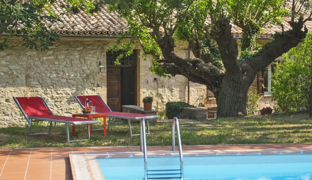 A total immersion in greenery and tranquillity.