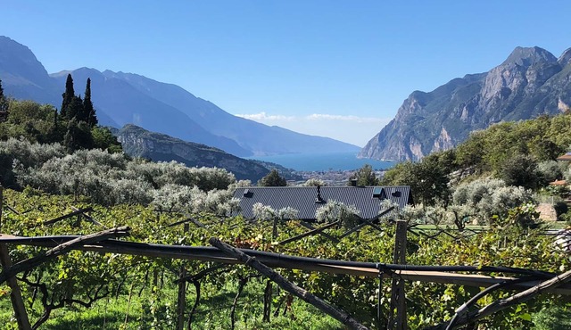 A tranquil paradise overlooking the lake