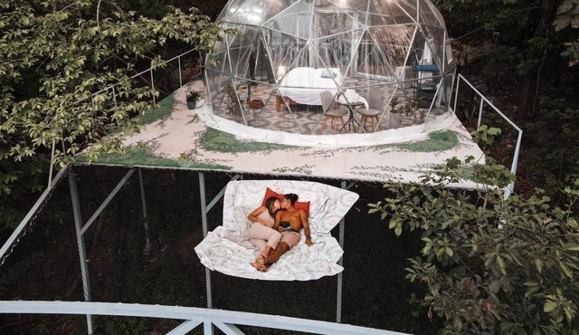 A TRANSPARENT DOME IN THE JUNGLE