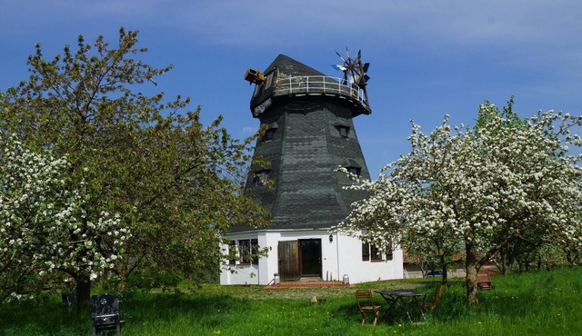 A windmill to fall in love with, family and dog-friendly with a large garden
