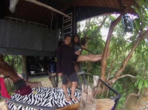 Abe tree house