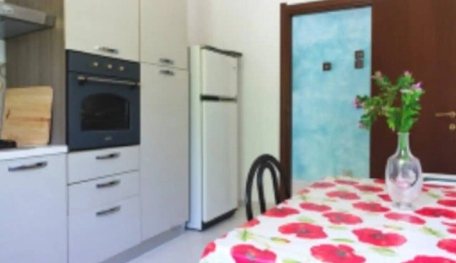 About Lyon Apartment
