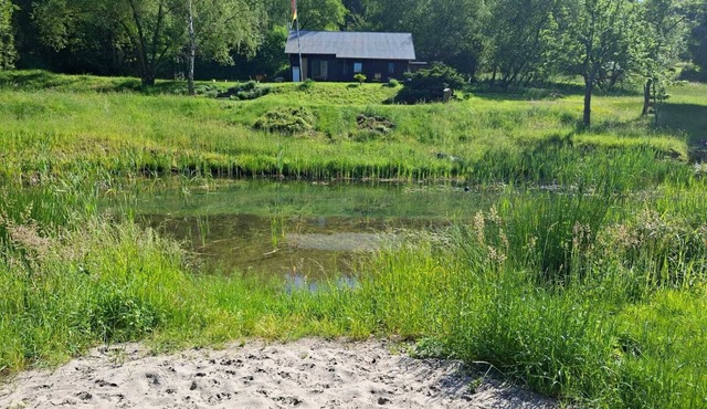 Abschalten in der Natur am Schwimmteich