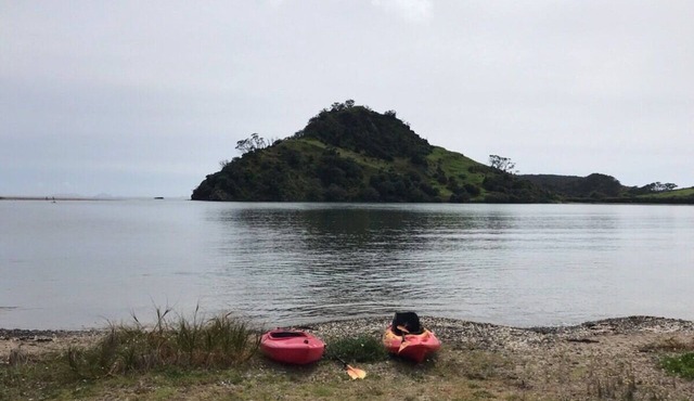 Absolute beachfront at Pataua South