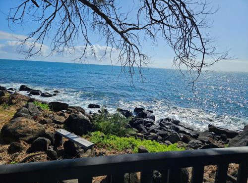 Absolute Oceanfront Tourist Park