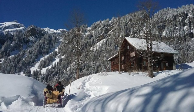 Absolutely quiet panoramic location in an ancient wooden house