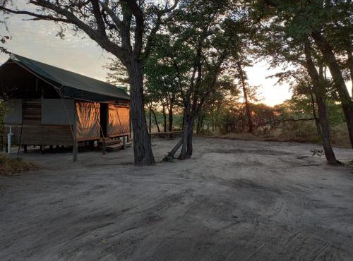Acacia Camping