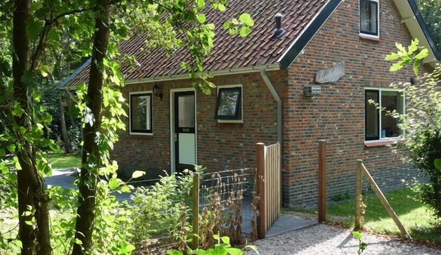 Acacialaan 19 your family holiday home with spacious garden