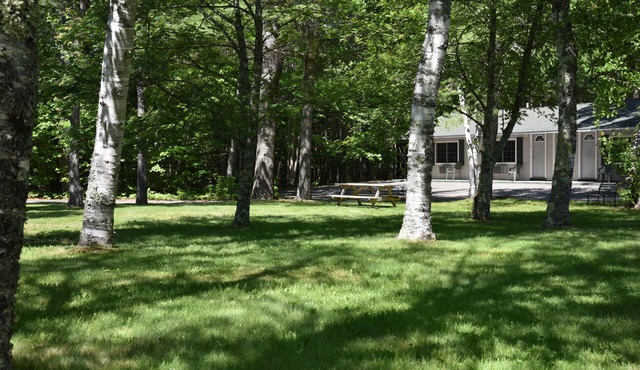 Acadia Pines Motel