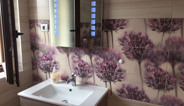 accommodation apartment Simona Brasov
