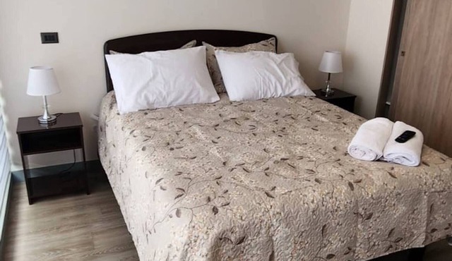 Acogedor Loft Centro De Santiago