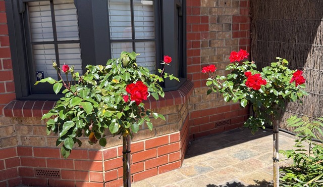 Adelaide Style Accommodation - Getaway-In elite North Adelaide, close to city