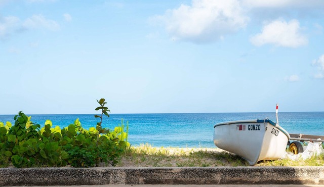 Adorable beachside 1-bedroom apartment