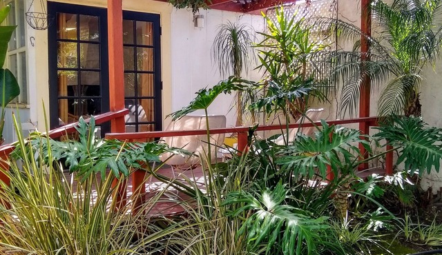 Adorable studio cottage just 4 blocks to Windansea beach with private yard