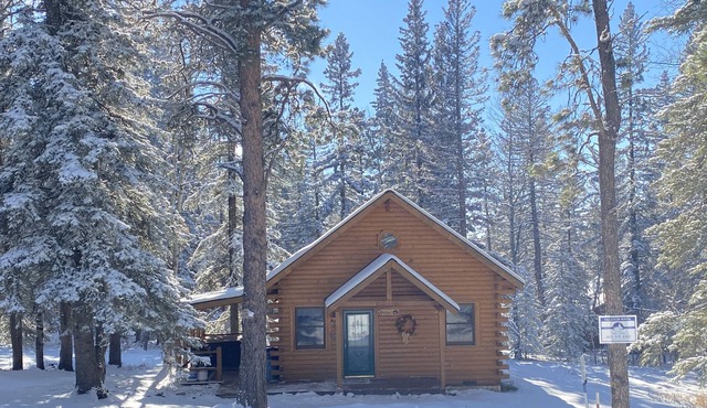 Adventure 1-Hot tub, close to the slopes!