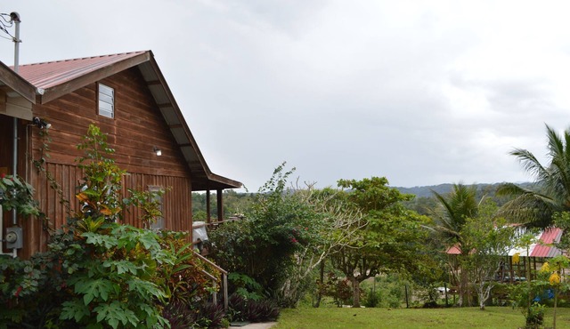 Adventure or Tranquility, private 1/2 acre, amazing views, 5 min to downtown