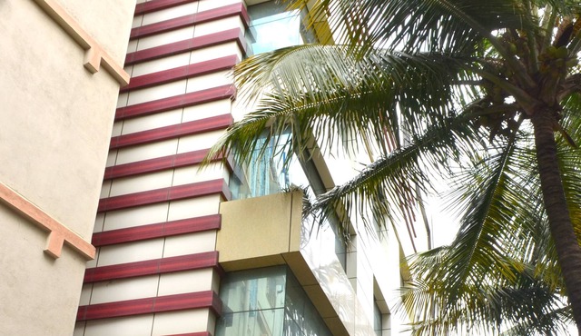 Adya Classic