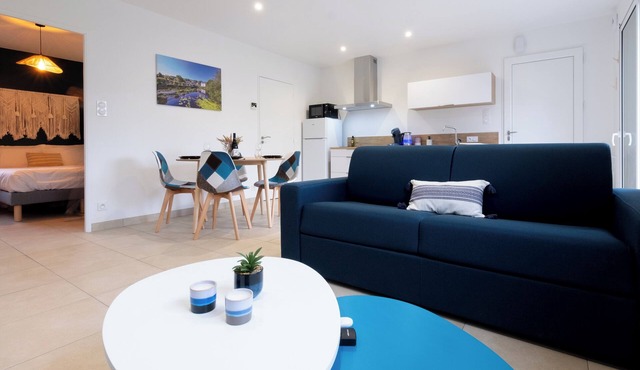 AFF cottage*centre ville*SPA*parking