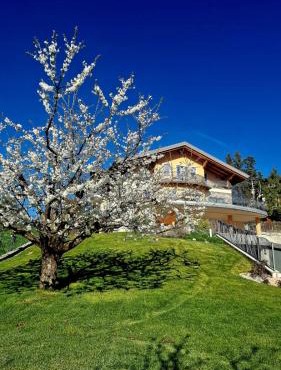 Affittacamere Dolce Sogno