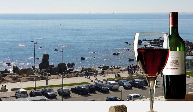 Affordable Luxury Beach Apartment with superb sea view 10 minutes from Porto
