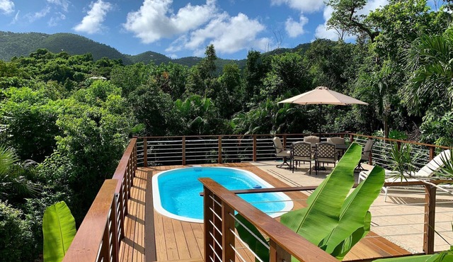 Affordable St John Cottage with a Pool, AC & Amazing Tropical Gardens