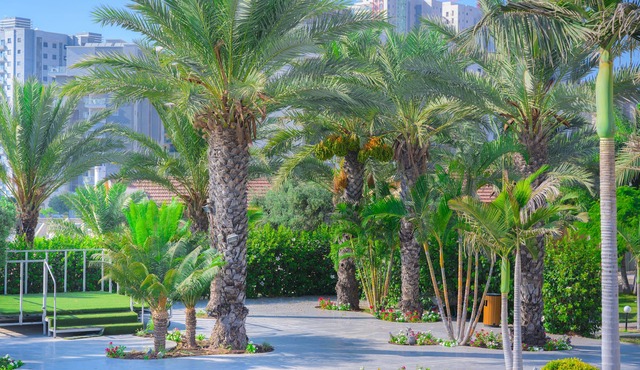 Agamim Hotel