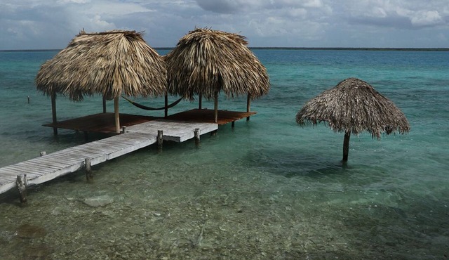 Agave Blue Bacalar