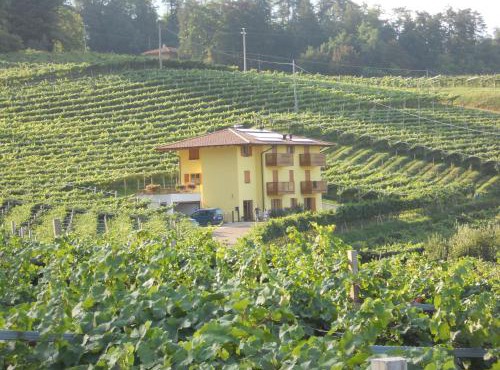 Agritur al Vigneto