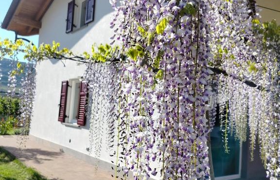 Agritur Lavanda