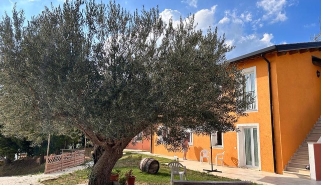 Agriturismo Collamato