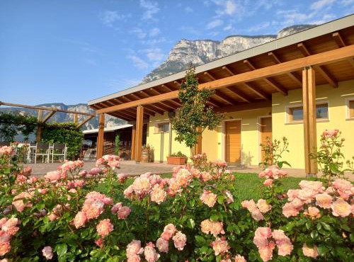 Agriturismo L' Isola di Arturo