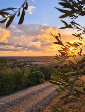 Agriturismo Le Serre