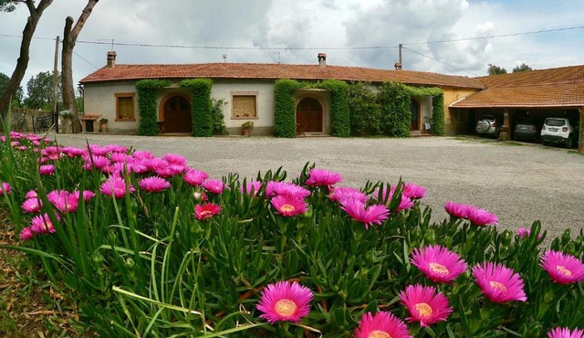 Agriturismo Monte Alzato
